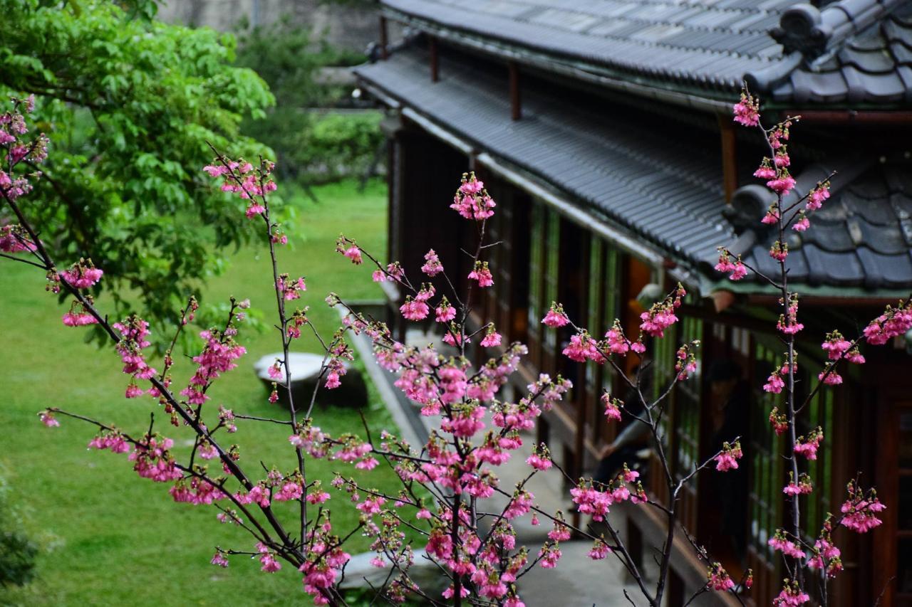 纪州庵文学森林