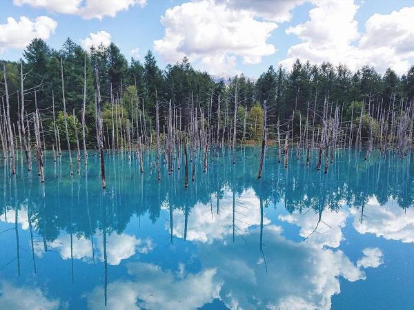 图:hokkaido_life_2010@ig