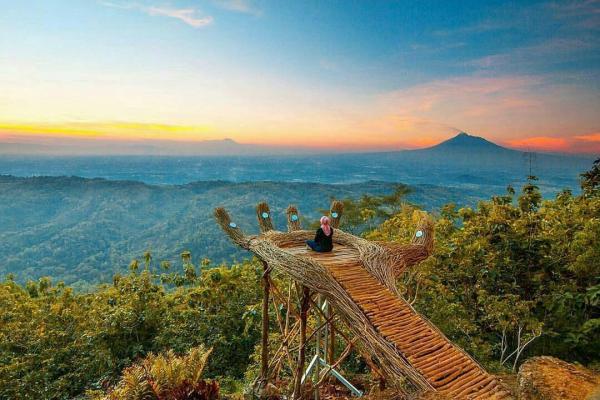 Pinus Pengger 松林位于日惹的 Kabupaten Bantul,日惹 (Yogyakarta) 系印尼爪哇岛中南部城市,系最古老的城市之一,难怪装饰咁有神秘色彩。(图:Wonderfulisland)<br />