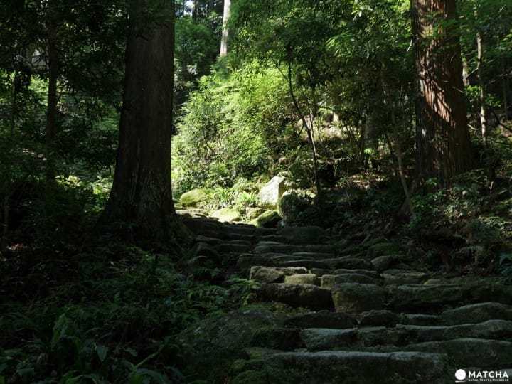 熊野那智大社10 【和歌山】世界遗产熊野三山,「熊野那智大社」与山林间的飞瀑「那智瀑布」