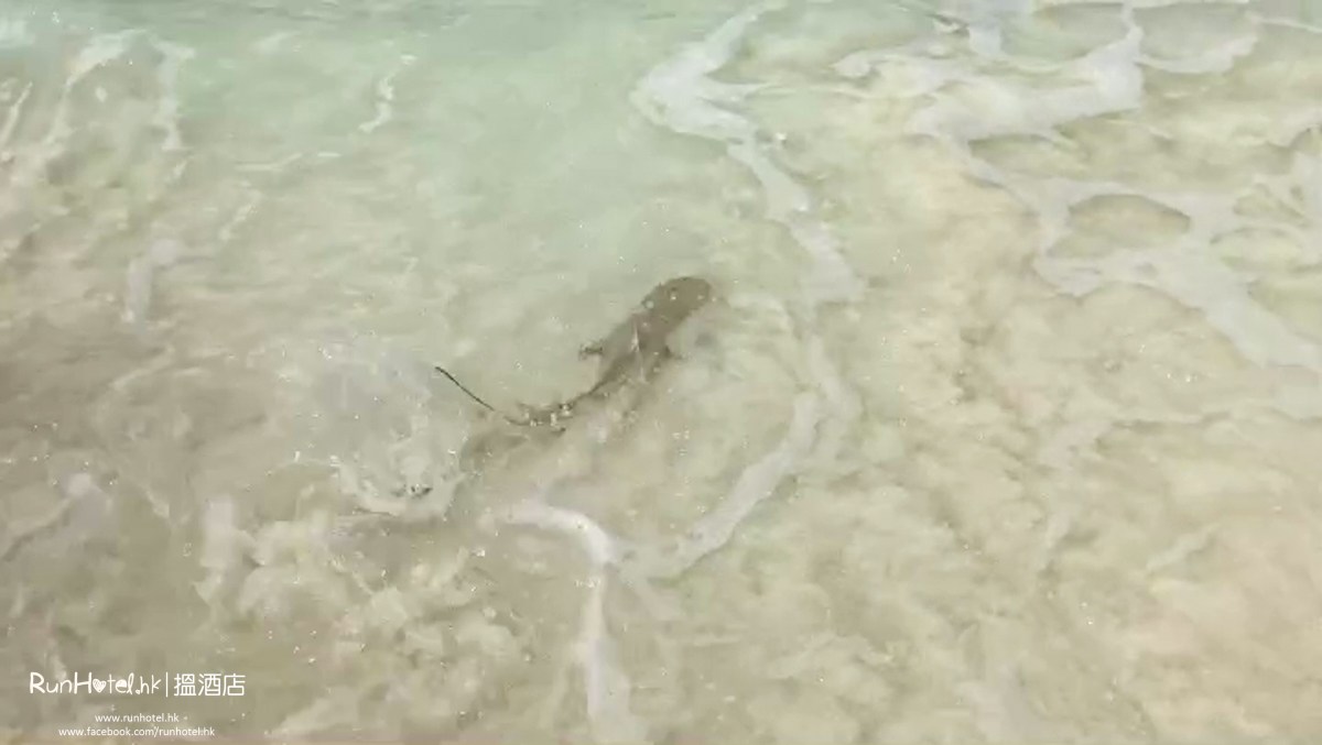 Cocoa Island Maldives 2