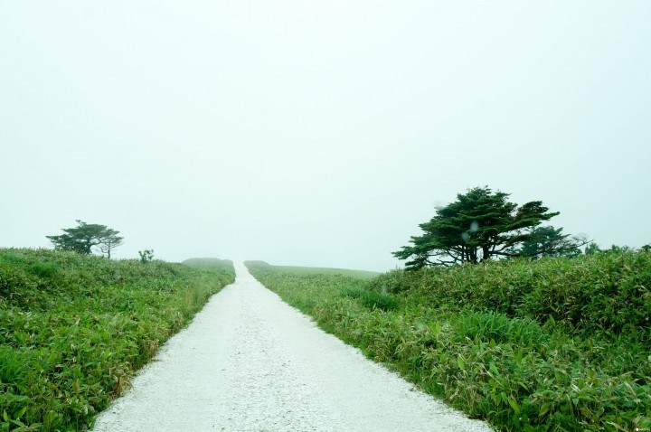 稚内景点:宗谷丘陵 征服日本最北端!北海道稚内景点整理