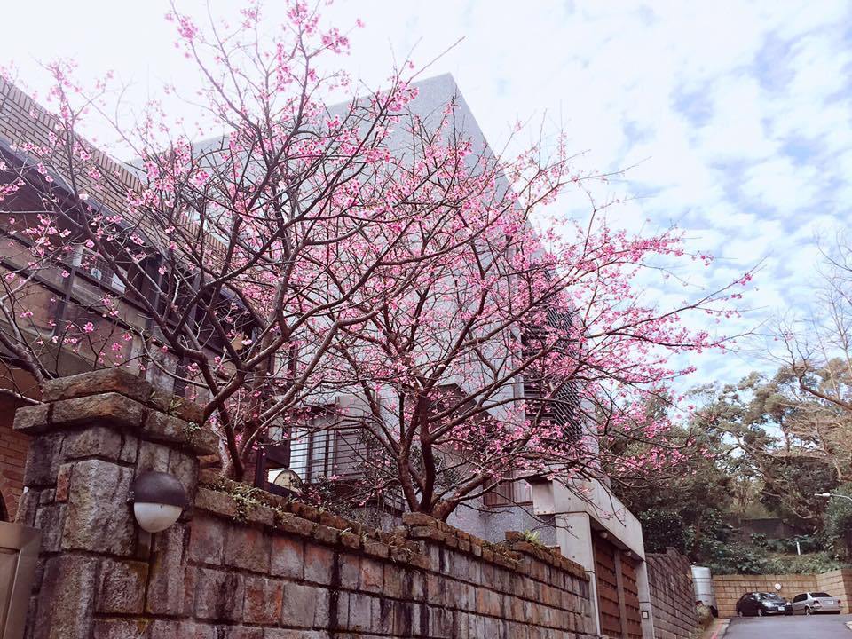 花卉试验中心