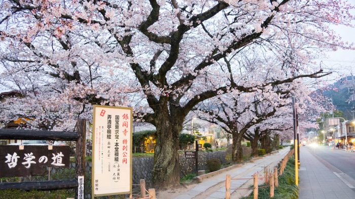 第五站 哲学之道