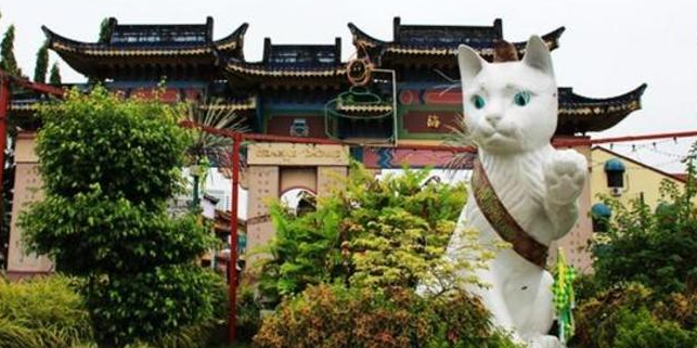 香港航空5月28日新开航点马来古晋 猫控必须去的地方!