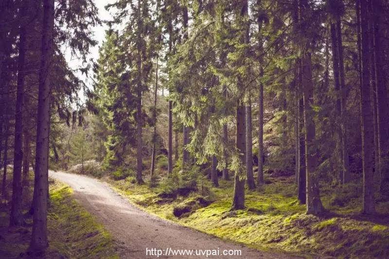 public-domain-images-free-stock-photos-high-quality-resolution-downloads-public-domain-archive-11-1000x667.jpg 抓住暑期小尾巴,插上8元小翅膀,玩去吧~
