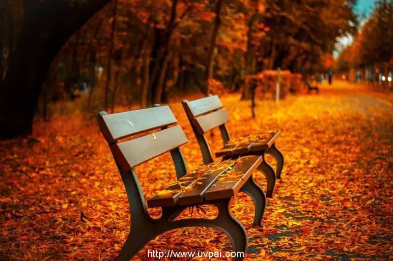 public-domain-images-free-stock-photos-high-quality-resolution-downloads-public-domain-archive-6-1000x664.jpg 抓住暑期小尾巴,插上8元小翅膀,玩去吧~