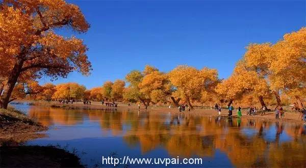 南航本月会员日 促销价格出炉，80元起秋季游大江南北，部分国庆票