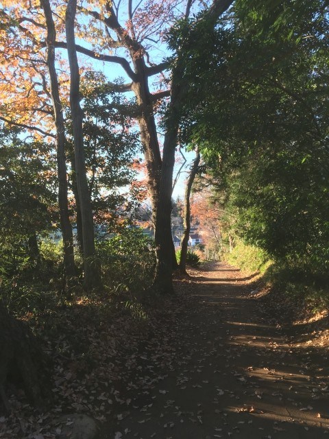 龙猫森林 跟着吉卜力玩日本!动画电影取景地攻略
