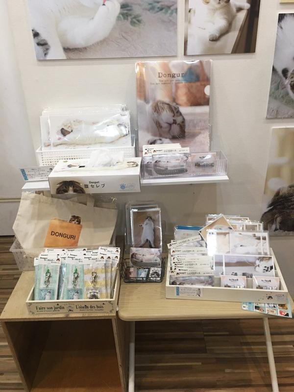 当然唔少得一系列的猫咪精品啦!(图片来源:H_momorin_1109@twitter) <br />
