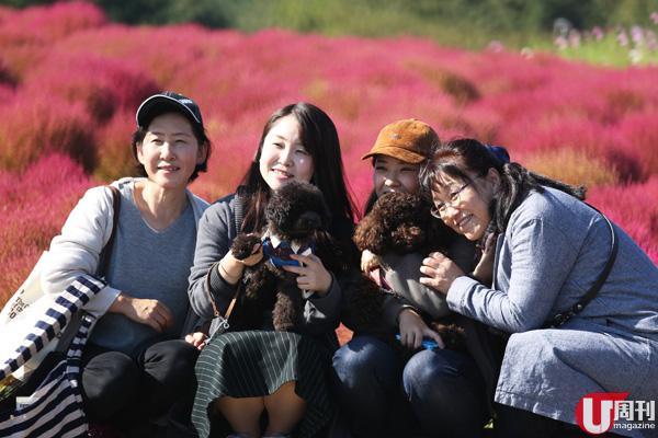 公园是 pet-friendly,不少人带同狗狗来散步拍照。