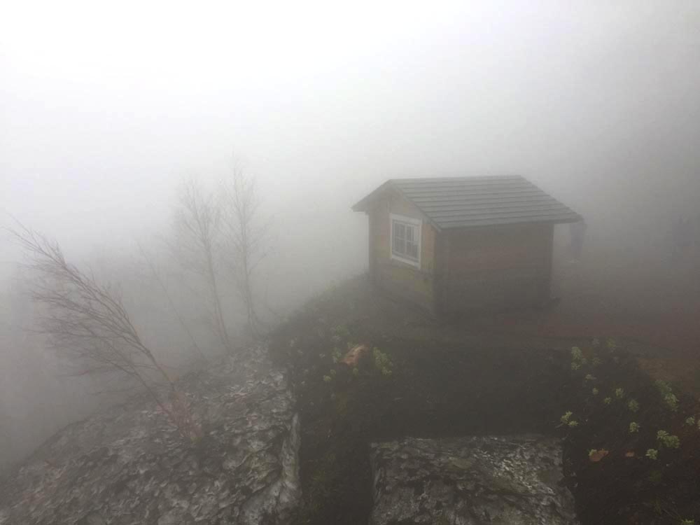 ▲今日雲海狀況「在雲中」,感覺迷幻