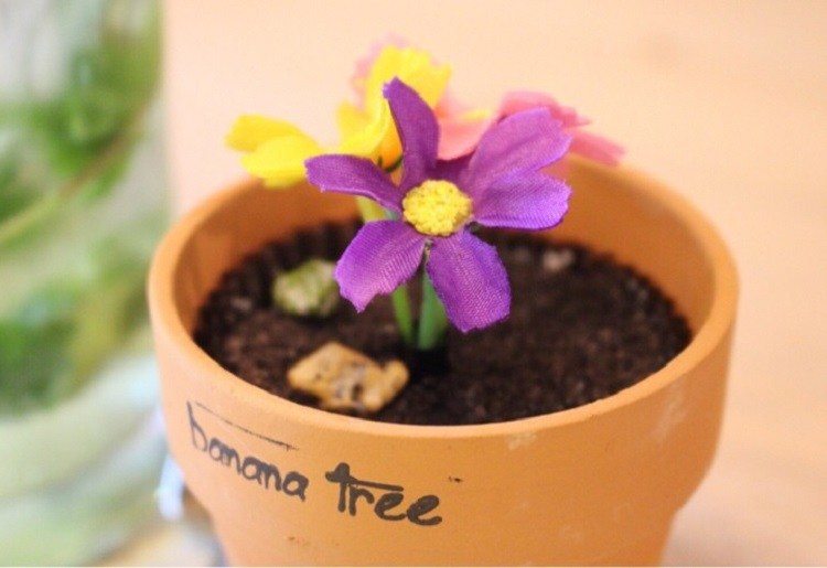 花盆蛋糕是这里的特色甜品