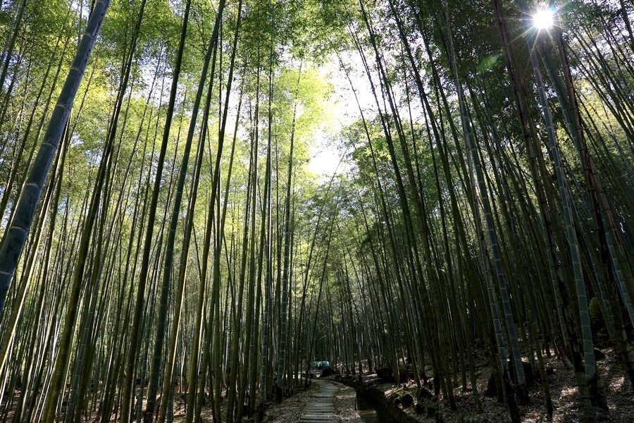 长源圳古道