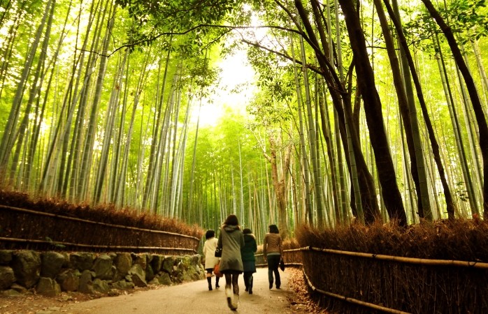 岚山竹海