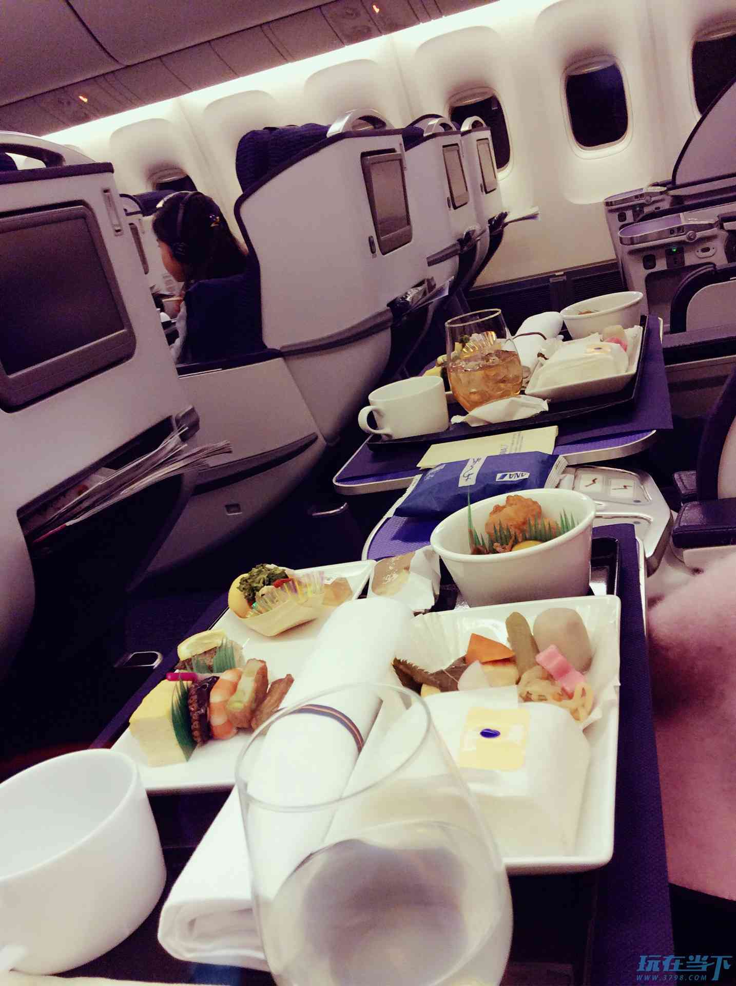 flight-food