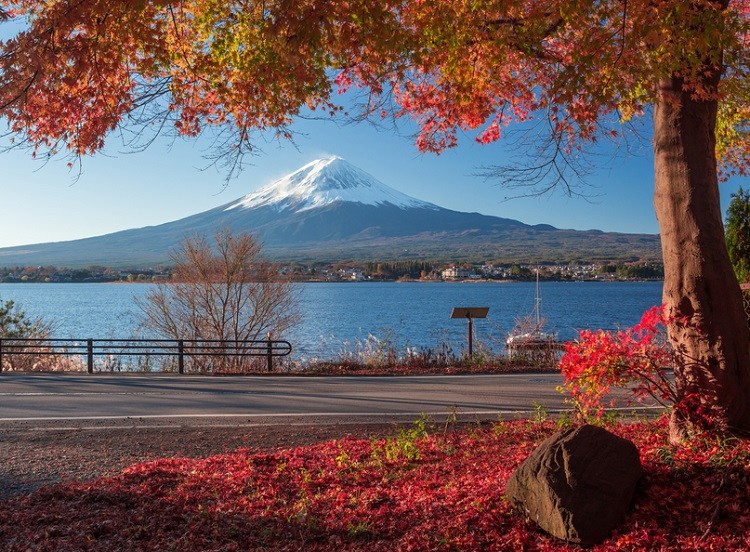 日本-东京-富士山