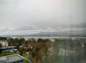 intercontinental-geneva-view