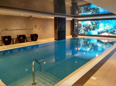 novotel-london-brentford-swimming-pool