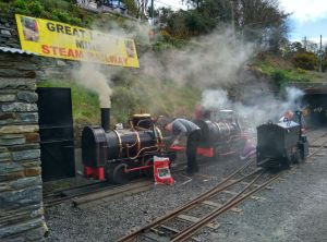 trip-iom-laxey-railway