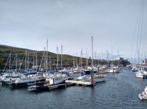trip-iom-peel-harbour