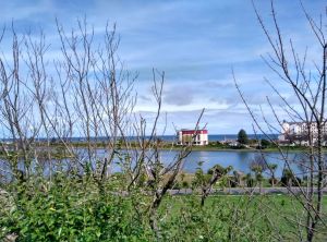 trip-iom-ramsey