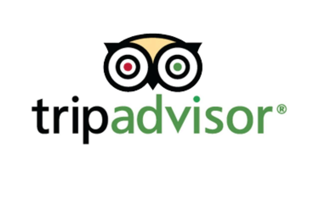 tripadvisor-logo-vector-download.jpg