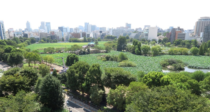 东京 上野公园