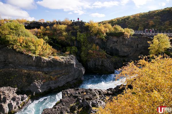 冰岛旅人都会认得的 Reykjavik Excursions,提供雷克雅未克最具规模的巴士旅游团服务,只须上网预约或经酒店提早报名,行程和交通都会帮你安排妥当,对于自由行而言非常方便。以我们参加的冰洞旅行团为例,不设任何綑绑式消费,没人迫你食饭屈你买嘢,作为见到旅游大巴便不感冒的独行侠,他们的 day tours 并没有阻碍本人自我感觉良好!