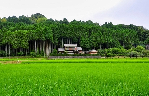 琦玉县 狭山丘陵