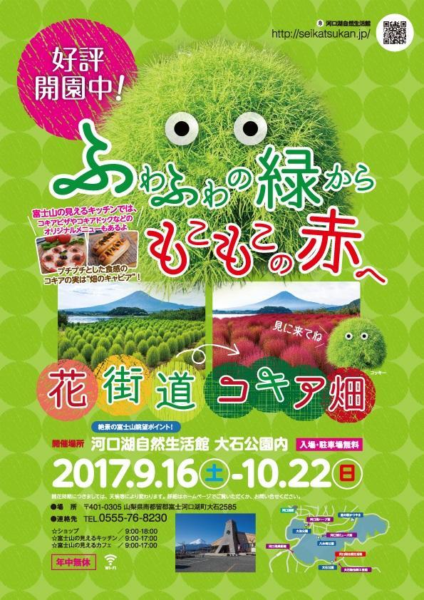 9月16日至10月22日期間,將有掃帚草元素的限定 menu!(圖:河口湖自然生活館)