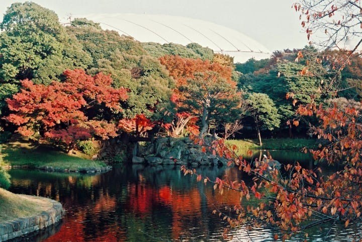小石川后乐园