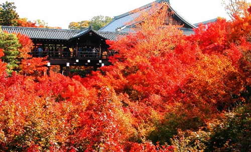 東福寺