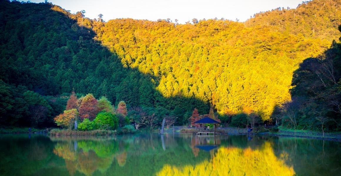 明池山庄神木森林游乐区