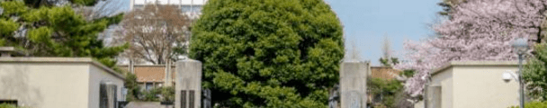 44