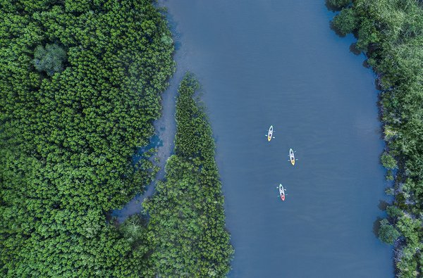 Kayak Kayak