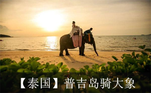 4157普吉岛骑大象