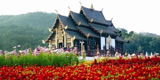 泰国清迈园艺博览园近景