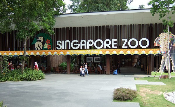 新加坡动物园(Zoological Gardens)