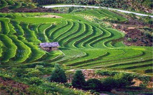 印尼巴厘岛乌布景点有哪些