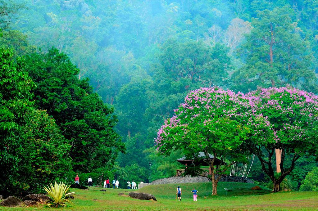 植物园美景