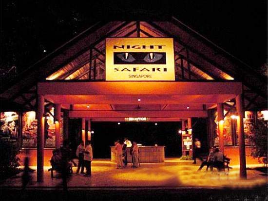 新加坡夜间动物园