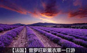 普罗旺斯薰衣草一日游
