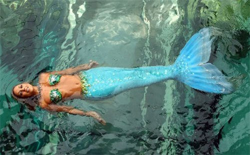 伦敦水族馆门票在哪里预订