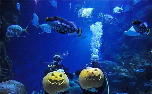 伦敦水族馆门票在哪里预订