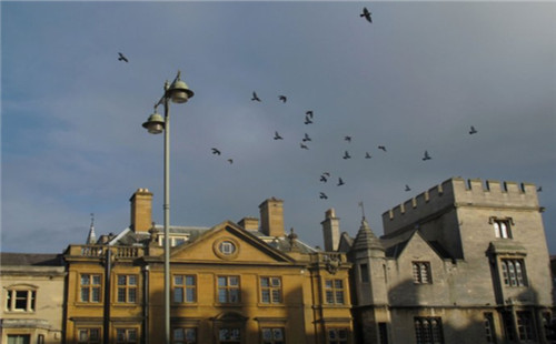 英国曼彻斯特旅游景点有哪些