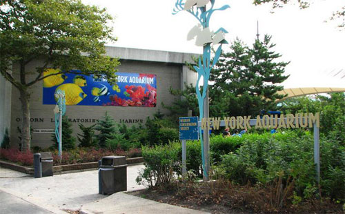 纽约水族馆大门