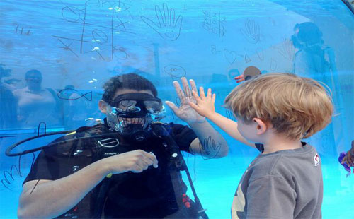 纽约水族馆表演