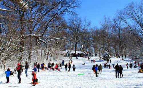 纽约下雪天