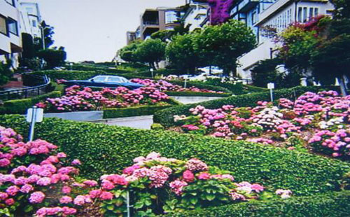 横穿美国旅游线路推荐——九曲花街